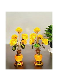 product-img-5