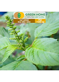 Hạt Giống Rau Dền 3 Màu Greenhome, Gói 20g~7000 hạt, Dễ Trồng Quanh Năm, Nảy Mầm Cao, Thu Hoạch Nhanh, Năng Suất Cao R15
