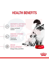 Thức Ăn Cho Mèo Mang Thai Và Mèo Con Royal Canin Mother Anh Babycat