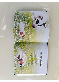 product-img-6