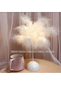 product-img-2