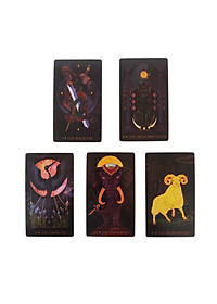 product-img-4