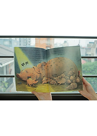 product-img-6