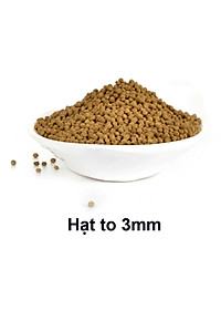 Thức Ăn Cho Cá CLEAN FOOD ( 500GR) Cao Cấp, Phù Hợp Mọi Loại Cá Cảnh, Giàu Dinh Dưỡng, Giúp Cá Lớn Nhanh, Lên Màu Đẹp