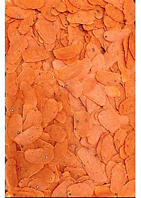 product-img-11