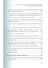 product-img-10