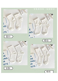 SET 5 ĐÔI TẤT VỚ NƠ NỮ DỄ THƯƠNG MÃ 50 DÀNH CHO NỮ