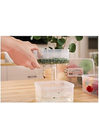 Bộ 3 hộp đựng thực phẩm Nakaya 1100ml vuông - nội địa Nhật Bản