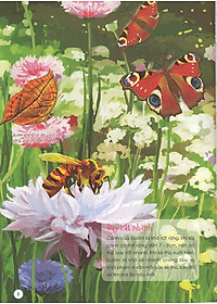 Thiên Nhiên- Những Bí Mật Còn Ẩn Giấu - Động Vật Quý Hiếm (Tái Bản 2019)- 2HBooks