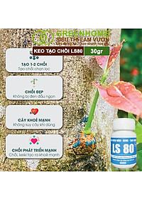 Keo Tạo Chồi LS80, Greenhome, Hũ 30gr, Tạo Mầm Tại Vị Trí Bất Kỳ, Có Chọn Lọc, Không Suy Cây, Đen Chồi