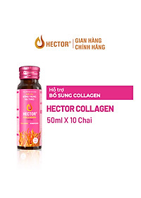 Bộ 2 hộp nước nấm Đông trùng hạ thảo Hector Sâm và Hector Collagen ( 20x50ml)