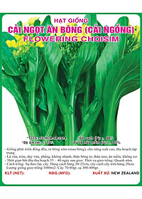 Hạt giống cải ngồng - cải ngọt ăn bông gói 20g VTS030