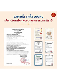 Hộp 10 Gói Hồng sâm 6 năm Daedong Korea thái lát, sấy khô - Sliced Korean Red Ginseng (20 g x 10)