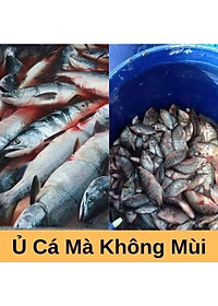 Combo 2sp đạm cá, đậu tương {  +  } Phân bón cung cấp dinh dưỡng tự nhiên cho hoa hồng, cây cảnh...