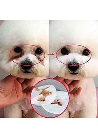 Bông lau vết ố mắt / Bông vệ sinh tai cho chó mèo