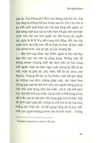 product-img-12