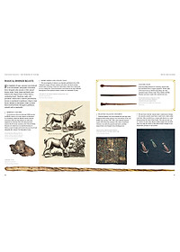 Sách Fantastic Beasts: The Wonder of Nature (Amazing Animals and the Magical Creatures of Harry Potter and Fantastic Beasts) (Paperback)