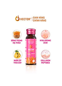 Bộ 2 hộp nước nấm Đông trùng hạ thảo Hector Sâm và Hector Collagen ( 20x50ml)