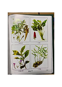 product-img-3