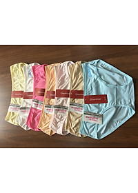 combo 10 chiếc quần lót cotton trơn co dãn tốt fom từ 45-60kg