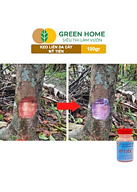 Keo Liền Sẹo Cho Cây Greenhome, Mỹ Tiến, Chai 100gr, Liền Nhanh Vết Cắt Da Cây, Chiết Cành, Tạo Dáng Bonsai, Lan, Kiểng