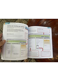 Bộ sách BÁCH KHOA THƯ VỀ PHÁT TRIỂN KỸ NĂNG - HỌC TẬP – Tủ sách DK – Đinh Tị Books – Bìa mềm in màu toàn bộ