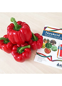 Phân bón hòa tan Israel Novacid 12-40-36+3CaO+Te, Hoà tan 100% sử dụng cho hệ thống tưới nhỏ giọt và tưới phun. Hạn chế rụng trái non, thúc hoa ra màu đẹp và tăng sức đề kháng cho cây trồng
