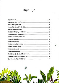 Sách Thời Cá Voi Biết Đi