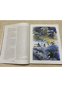 product-img-3