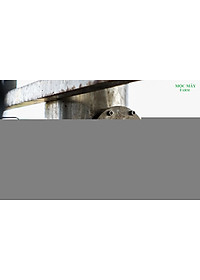 product-img-22