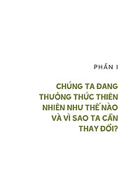 product-img-10
