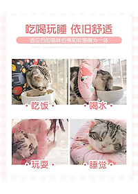 product-img-10