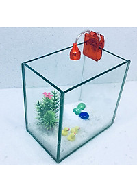 product-img-5