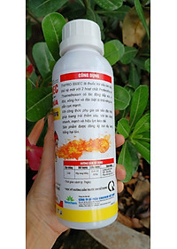 product-img-2