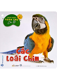 product-img-7