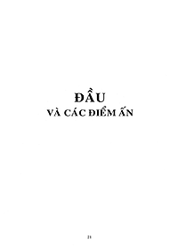 product-img-11