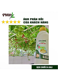 Combo 2 Chai Dịch Chuối Humic PMP Vi Sinh Chuyên Dùng Cho Hoa Hồng, Rau Sạch 1L/Chai