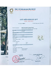Combo Hoa Tai Ngọc Trai Thiên nhiên, kèm bản PHOTOCOPY giấy KIỂM ĐỊNH SJC và Túi Nhung.