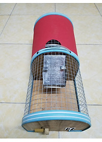 product-img-5