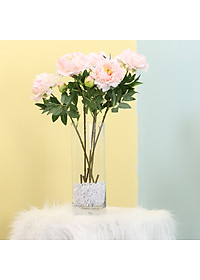 product-img-14