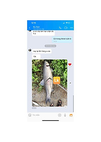 Mồi câu cá Lk Hòa | Thính Lk Câu cá chép trắm trôi siêu nhạy