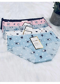 Combo 5 quần lót su hoa thông hơi- GAO 015 ( mẫu ngẩu nhiên)