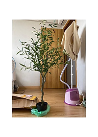 product-img-2