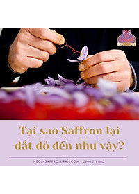 Nhụy hoa nghệ tây Tashrifat Saffron Premium Negin Iran 3g, chống lão hóa, làm sáng da,Tăng đề kháng, miễn dịch, giảm stress, cải thiện giấc ngủ, tăng khả năng tập trung.