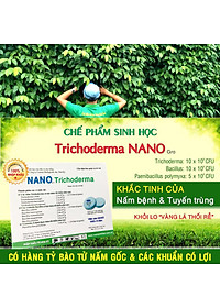 1 viên Phân bón vi sinh NANO-GRO. Chứa hàng tỷ bào tử vi nấm đối kháng trichoderma bacillus