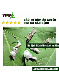 Chế phẩm vi sinh Biomic PMP diệt sâu xanh, sâu tơ, trĩ, nhện đỏ, rệp, sùng đất, tuyến trùng cho rau sạch, hoa, cây cảnh