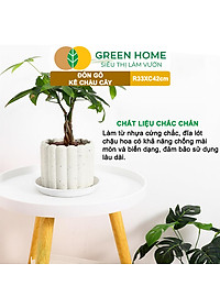 Đĩa Nhựa Lót Chậu Cây Greenhome, Nhiều Kích Cỡ, Hứng Nước Giúp Sạch Bàn, Sàn, Nhựa Nguyên Sinh, Bền, Đẹp, Chóng Rơi Vỡ