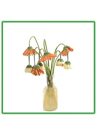 product-img-12
