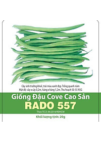 Hạt Giống Đậu Cove Cao Sản RADO 557 - 20gr - Dạng trái thẳng dài, màu xanh mỡ, bóng đẹp, ăn rất ngon và ngọt