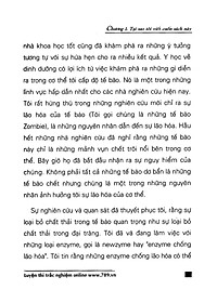 product-img-10